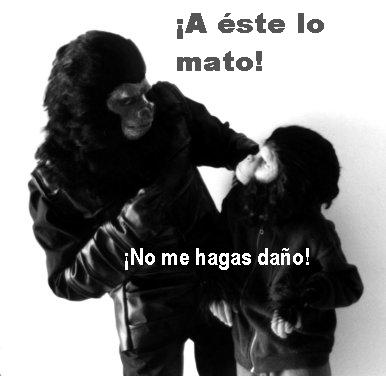 5. - Los machos Alfa pueden llegar a mostrarse muy agresivos, sobre todo con los cachorros.