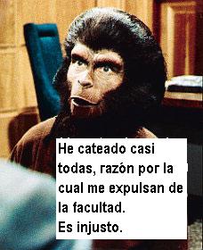 3. - La hora de la verdad, hablando de flucho a flucho